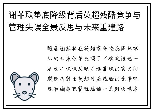 谢菲联垫底降级背后英超残酷竞争与管理失误全景反思与未来重建路